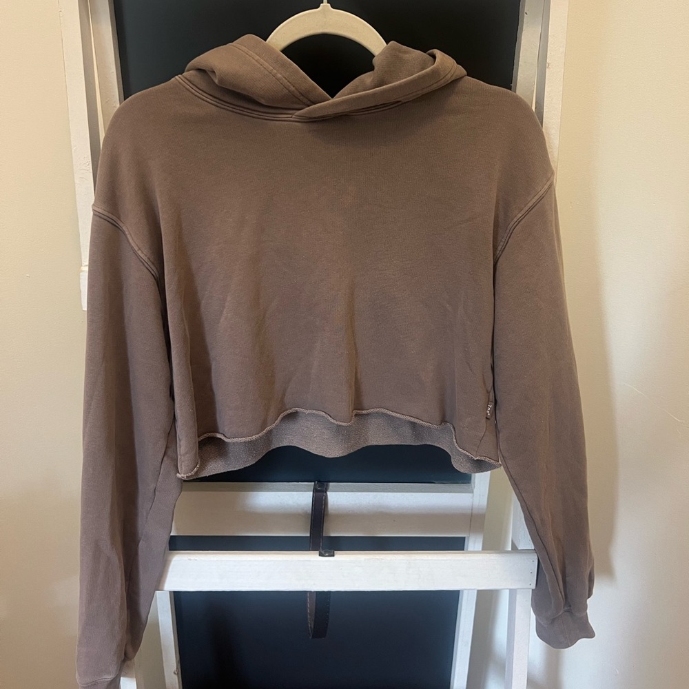 Aritzia Taupe Cropped Hoodie